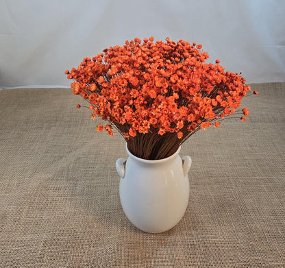Pastel Orange Dried Star Flowers: Wedding & Home Decor, 12" Tall