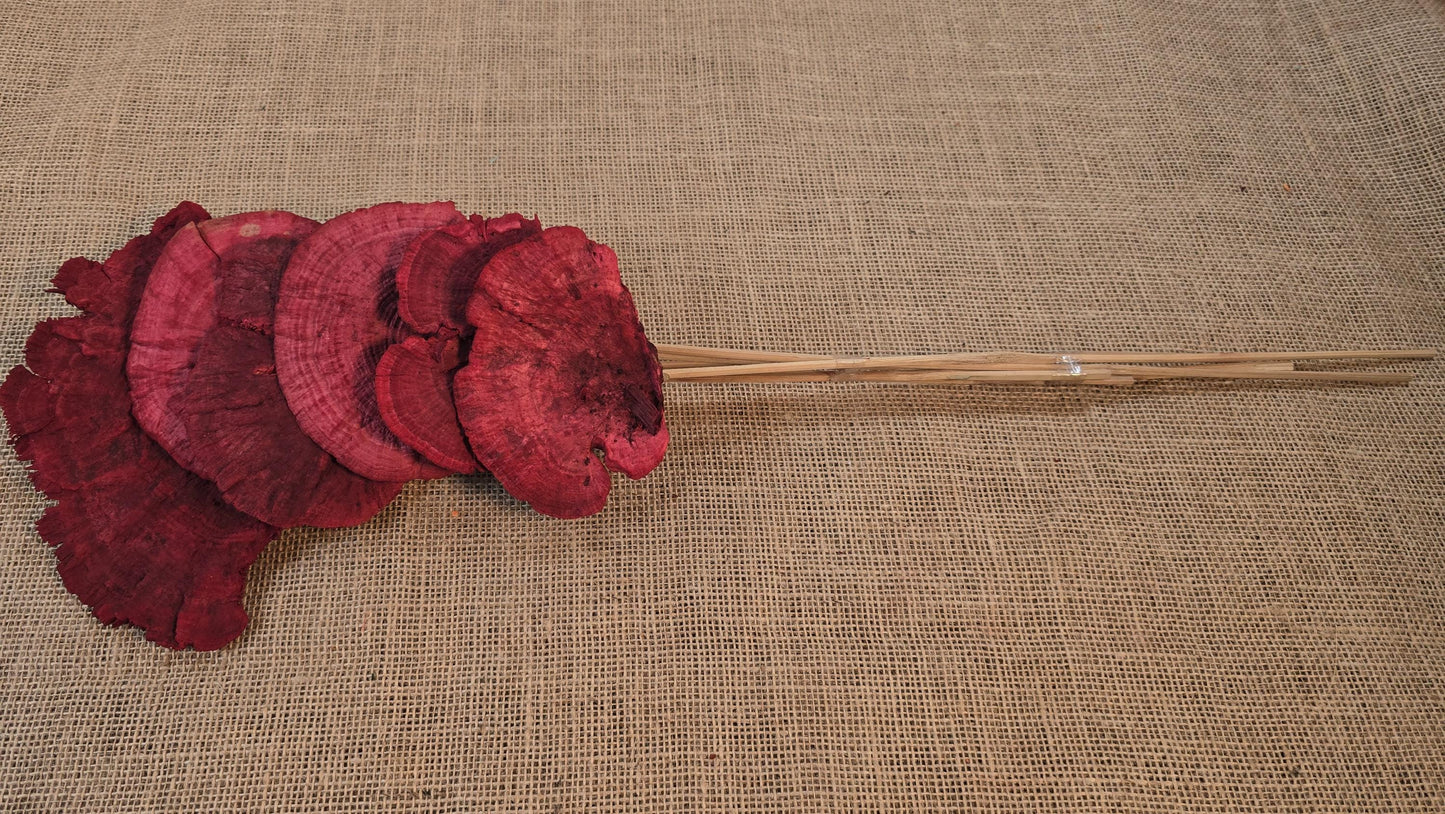 Dried Mushroom Bouquet - Wedding Flowers - Holiday Decor