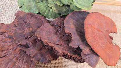 Dried Mushroom Bouquet - Wedding Flowers - Holiday Decor