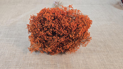 Dried Broom Bloom Bundle: Natural Floral Wedding Decor, 20"