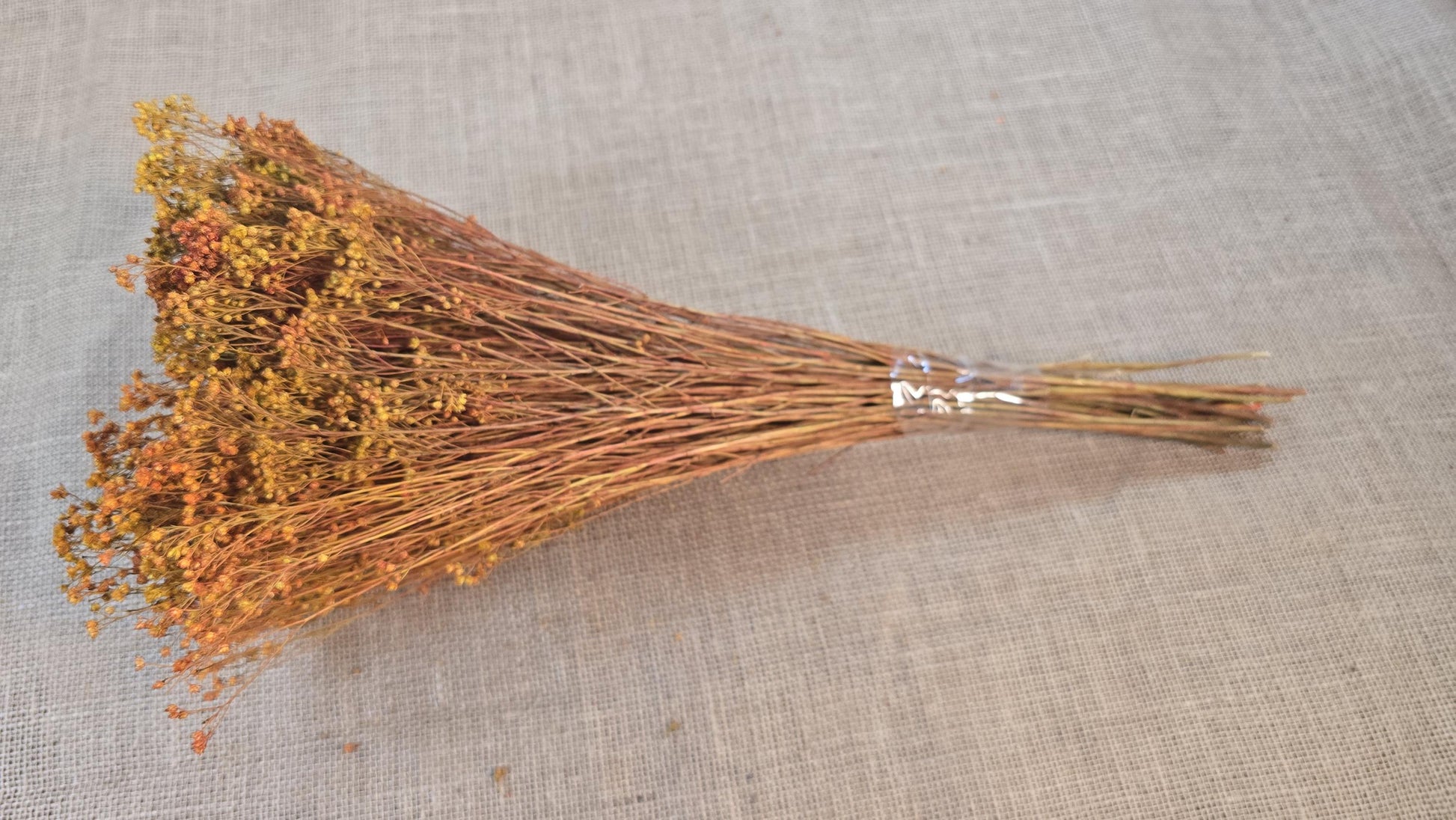 Dried Broom Bloom Bundle: Natural Floral Wedding Decor, 20"