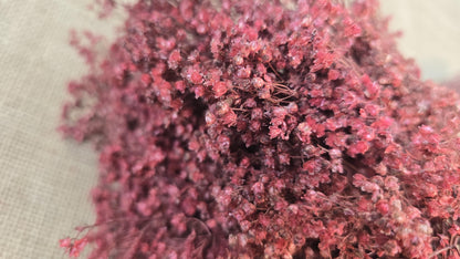 Dried Broom Bloom Bundle: Natural Floral Wedding Decor, 20"