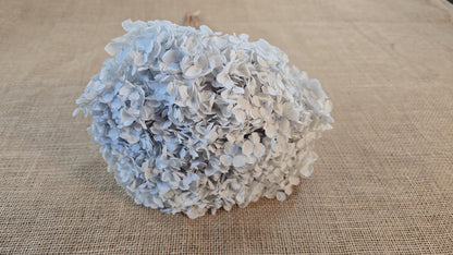Blue Preserved Hydrangea: Real Dried Wedding Flowers
