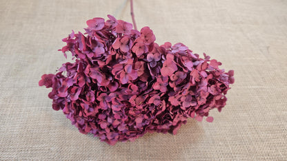 Red Preserved Hydrangea: Real Dried Wedding Flowers