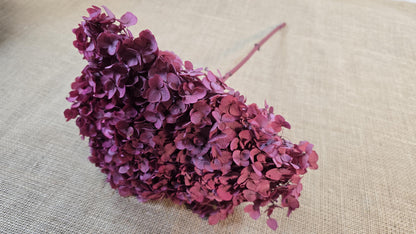 Red Preserved Hydrangea: Real Dried Wedding Flowers