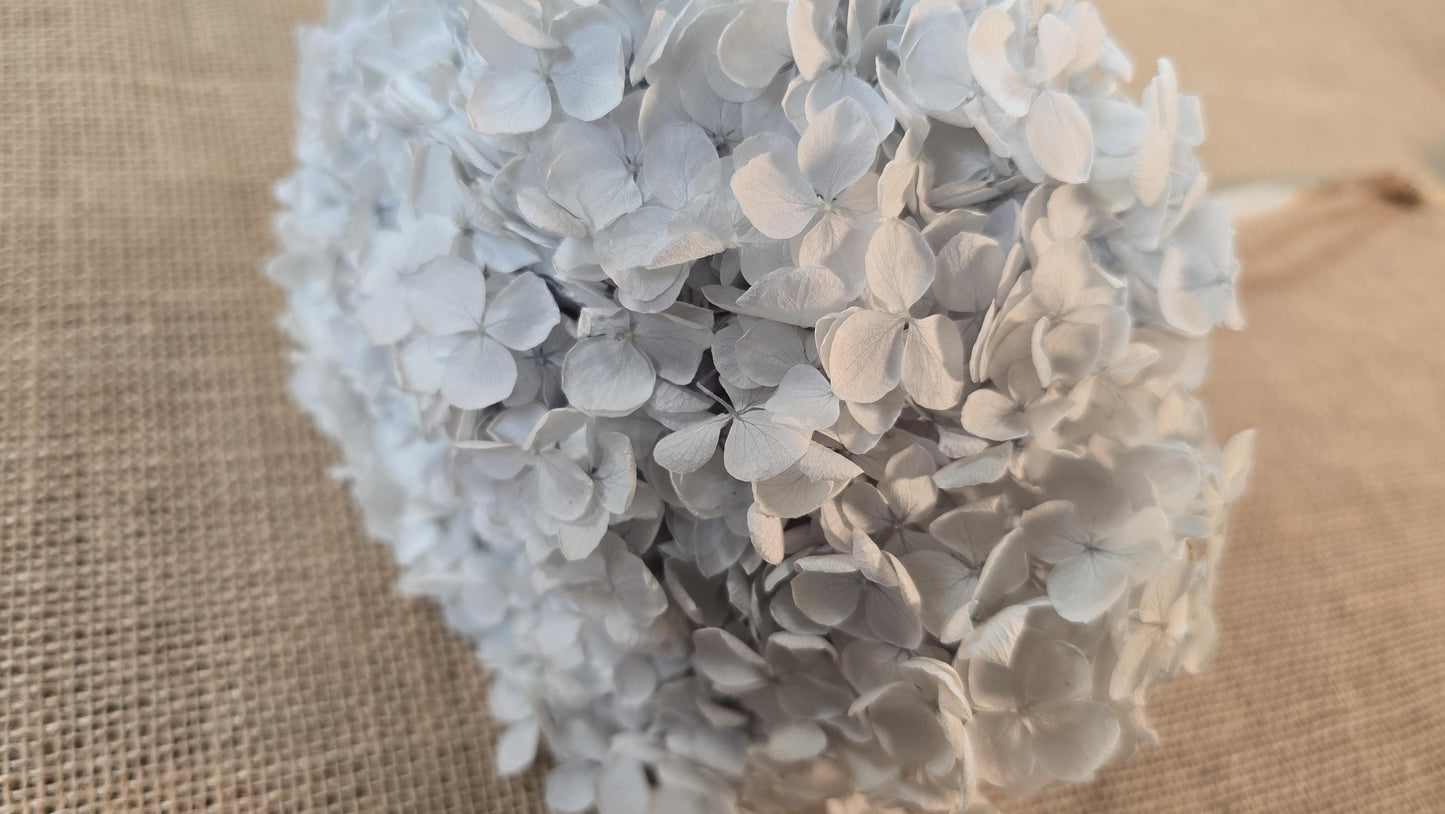 Blue Preserved Hydrangea: Real Dried Wedding Flowers