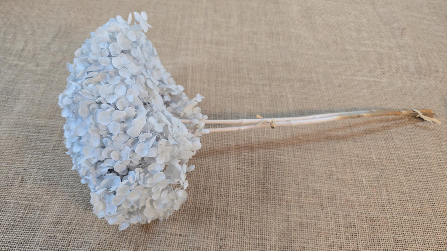 Blue Preserved Hydrangea: Real Dried Wedding Flowers