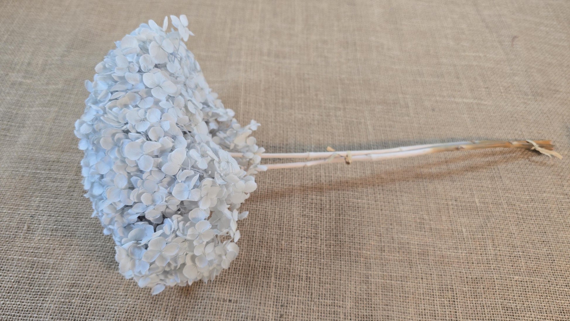 Blue Preserved Hydrangea: Real Dried Wedding Flowers