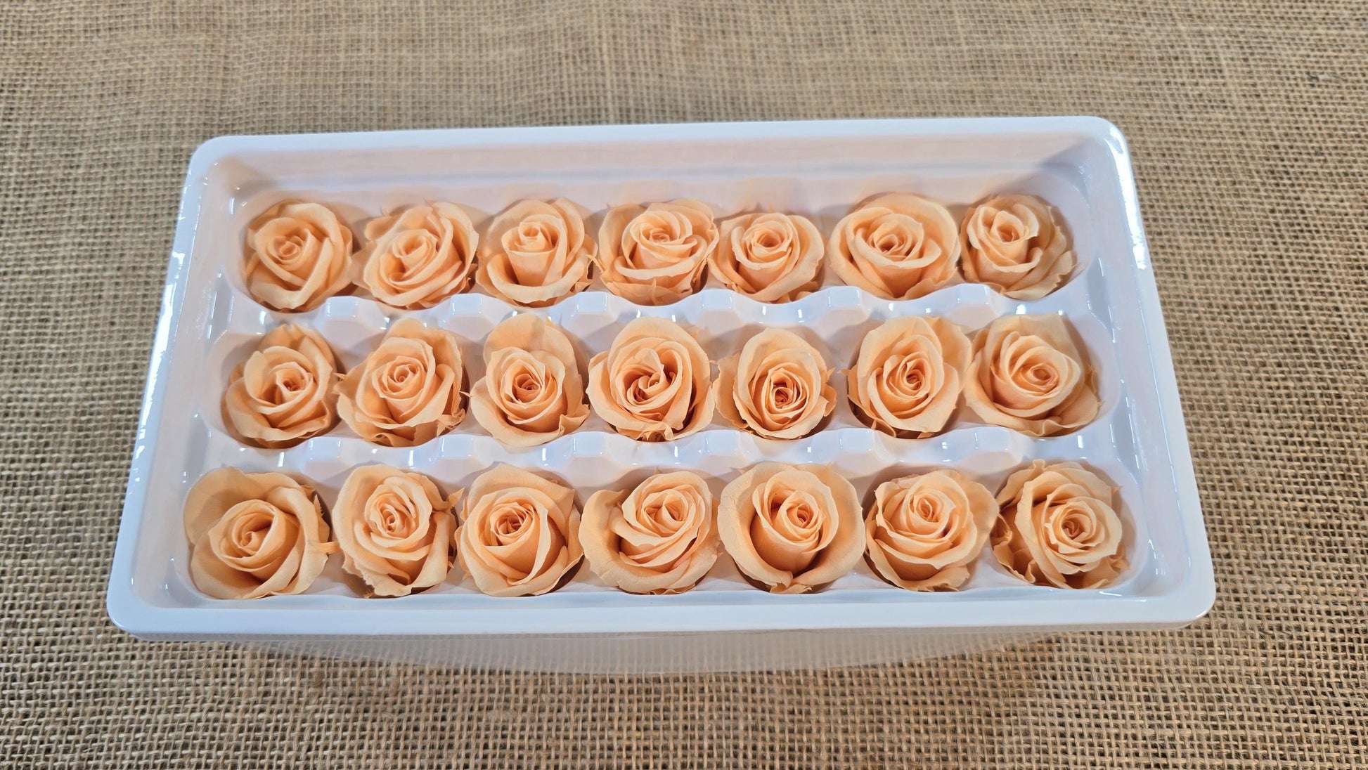 21 Champagne Preserved Roses: Wedding Bouquet Flowers