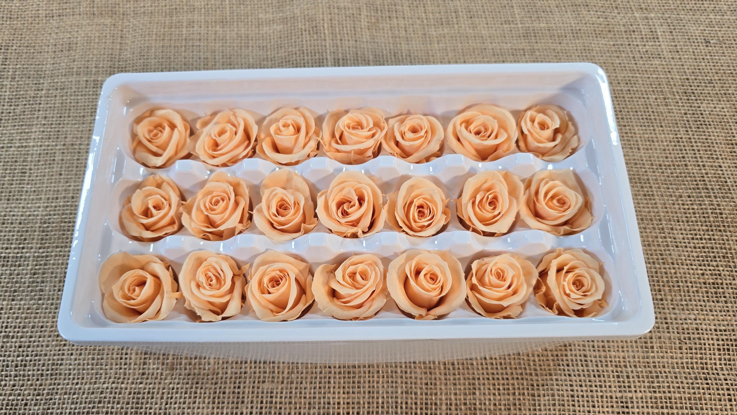 21 Champagne Preserved Roses: Wedding Bouquet Flowers