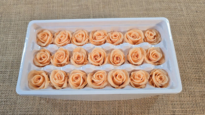 21 Champagne Preserved Roses: Wedding Bouquet Flowers