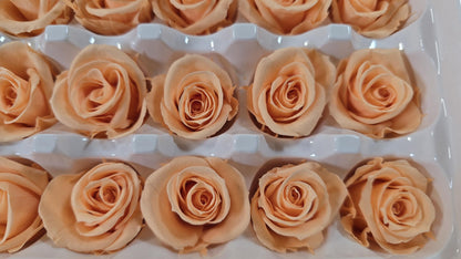 21 Champagne Preserved Roses: Wedding Bouquet Flowers