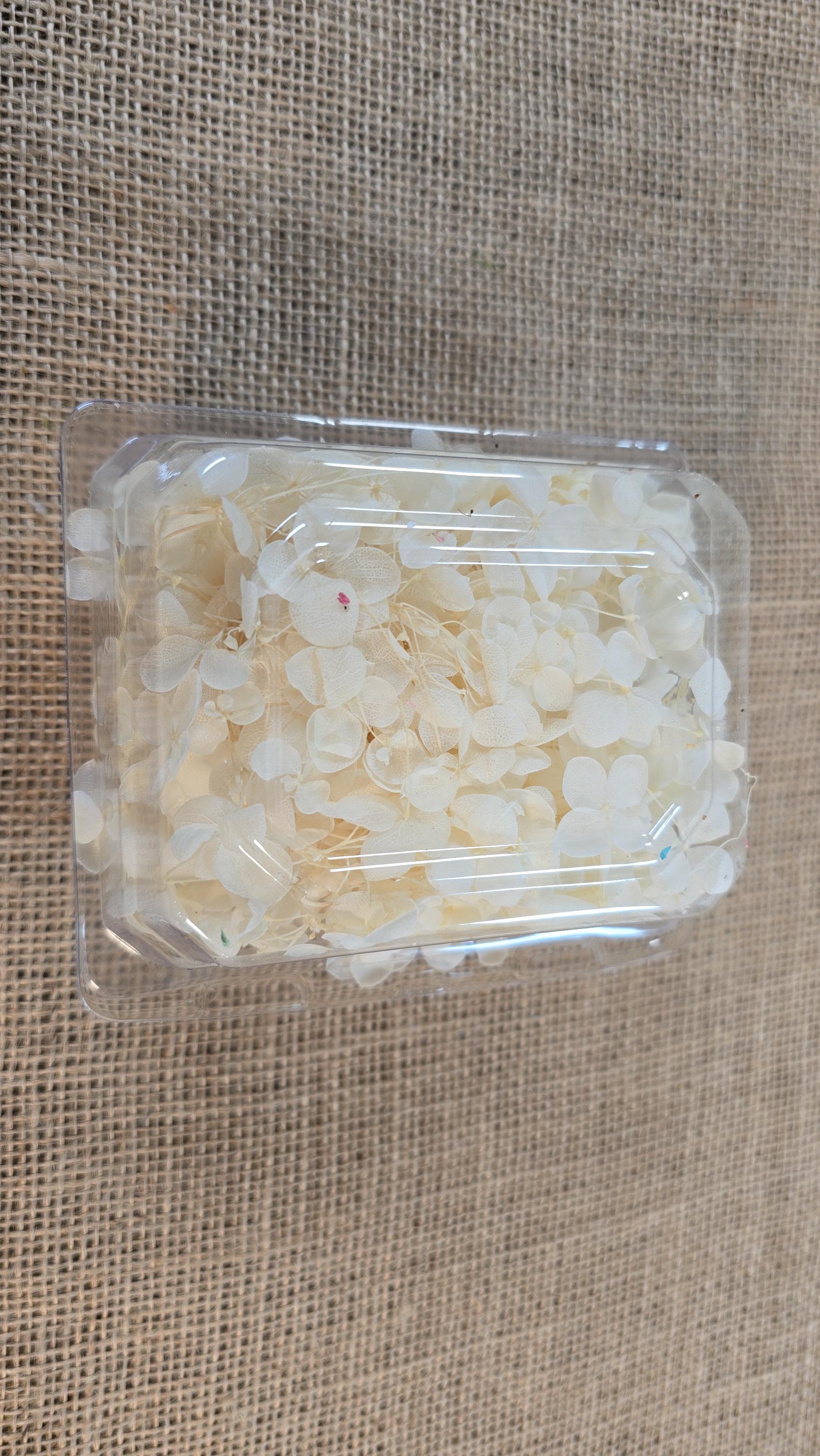 Beige Preserved Hydrangea: Real Dried Wedding Flowers