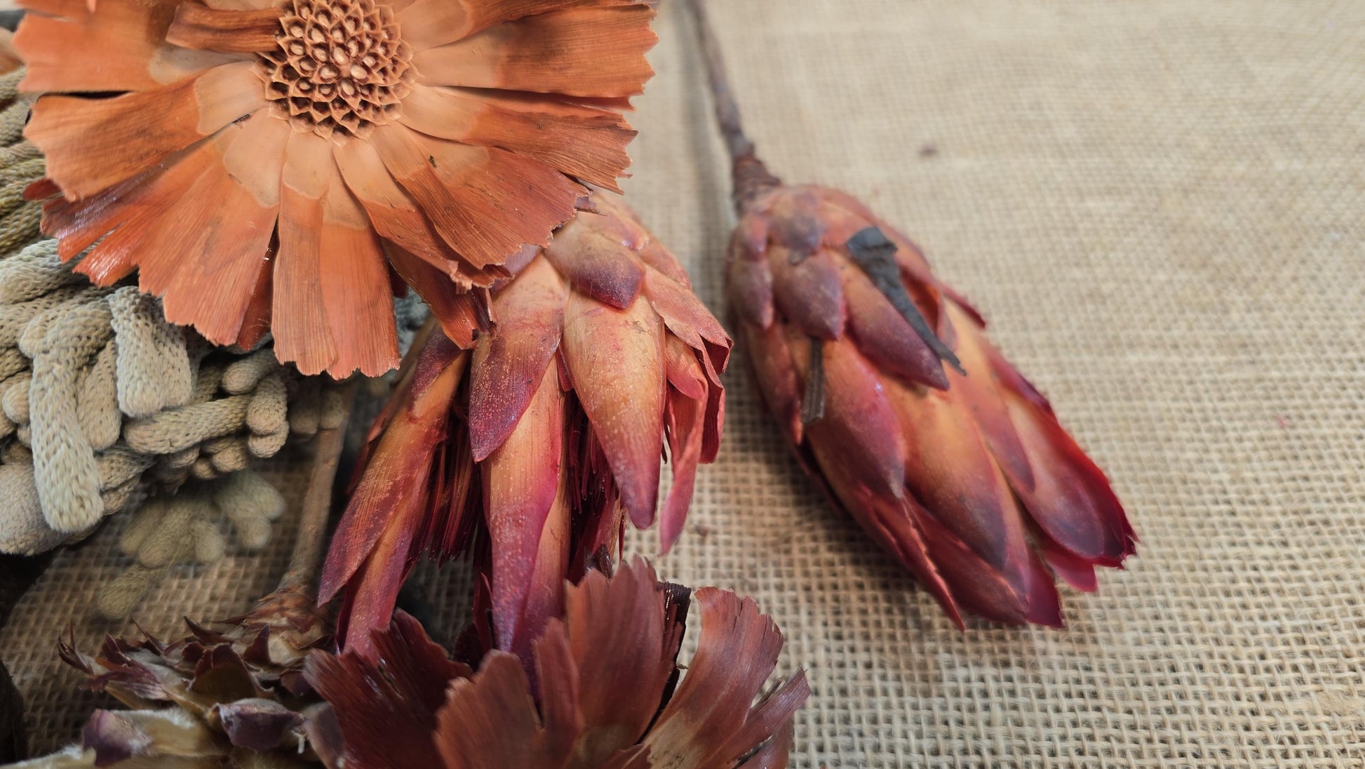 Exotic Dried Flower Bouquet, Natural Floral Arrangement