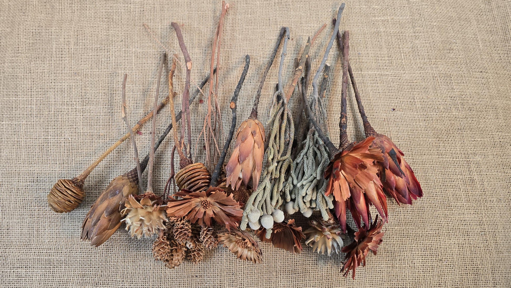 Exotic Dried Flower Bouquet, Natural Floral Arrangement
