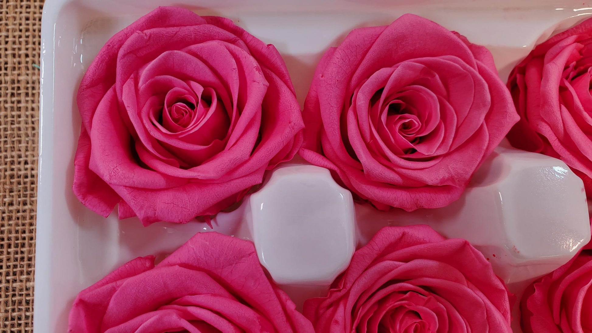 Pink Preserved Roses - 8 Pack - Wedding, Prom, Christmas