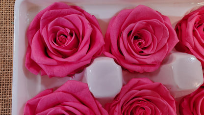 Pink Preserved Roses - 8 Pack - Wedding, Prom, Christmas