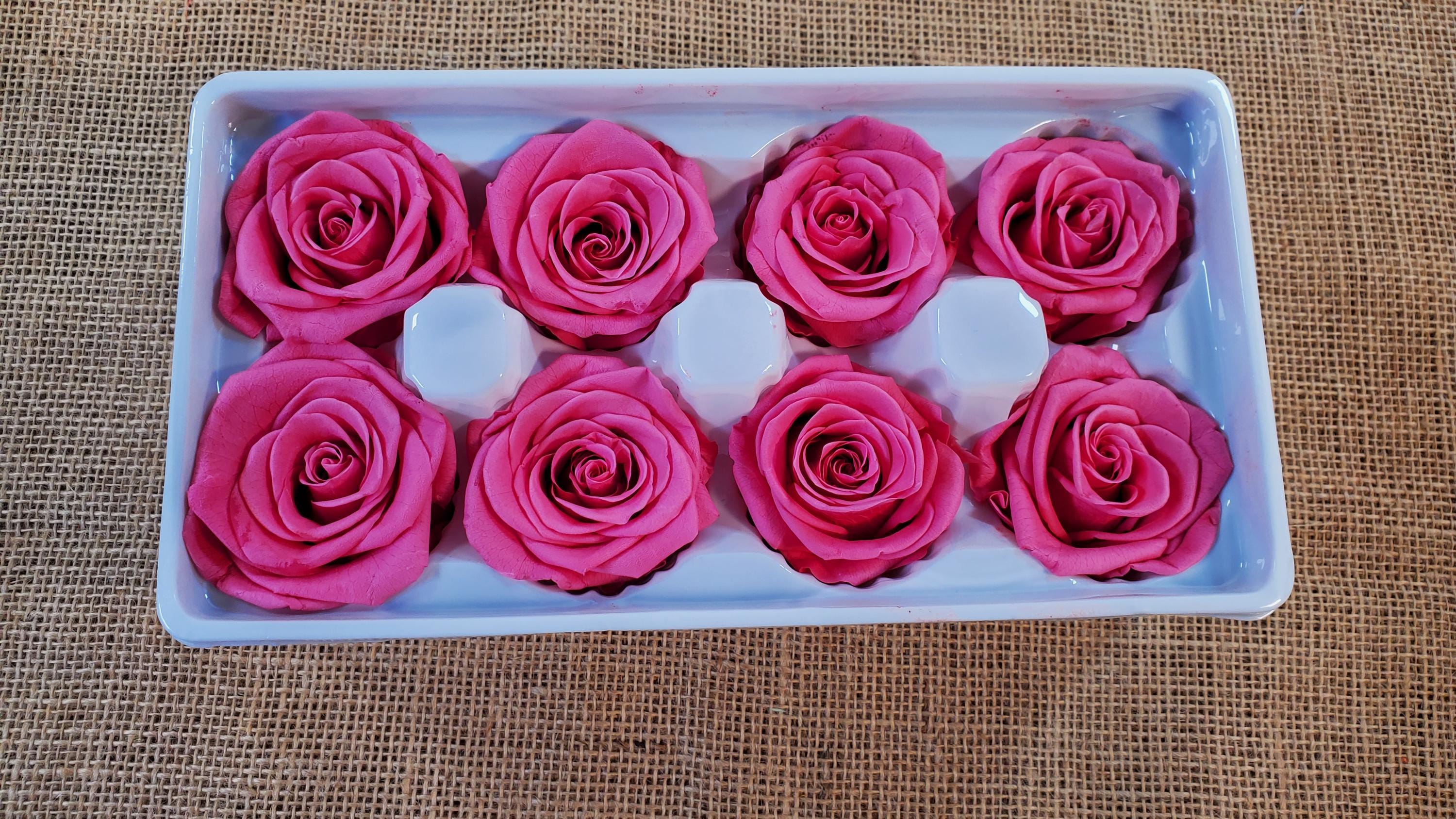 Pink Preserved Roses - 8 Pack - Wedding, Prom, Christmas