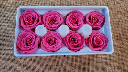 Pink Preserved Roses - 8 Pack - Wedding, Prom, Christmas