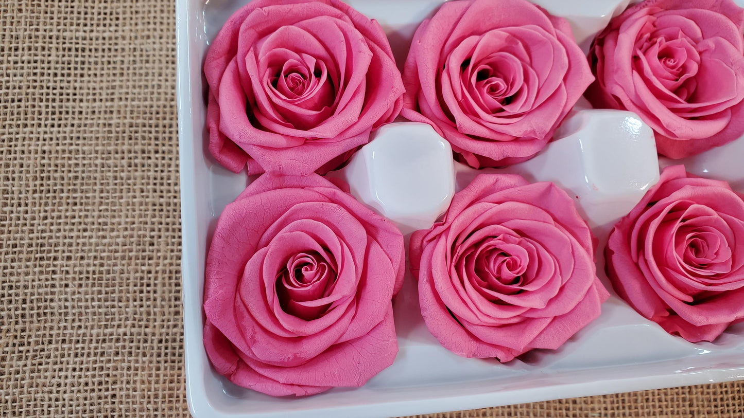 Pink Preserved Roses - 8 Pack - Wedding, Prom, Christmas