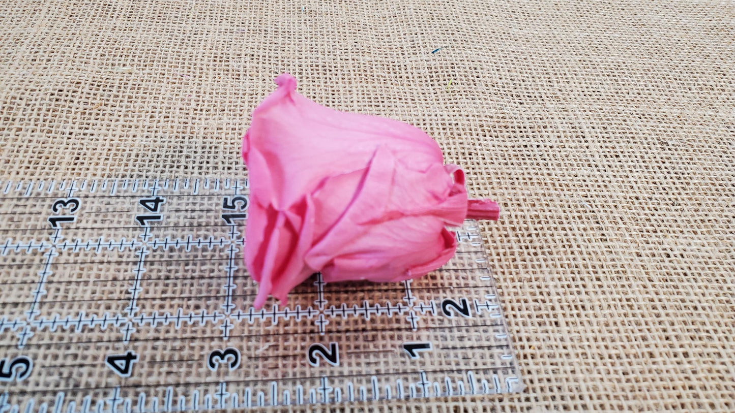 Pink Preserved Roses - 8 Pack - Wedding, Prom, Christmas