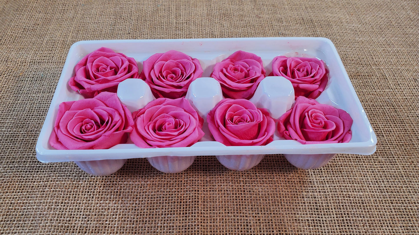 Pink Preserved Roses - 8 Pack - Wedding, Prom, Christmas