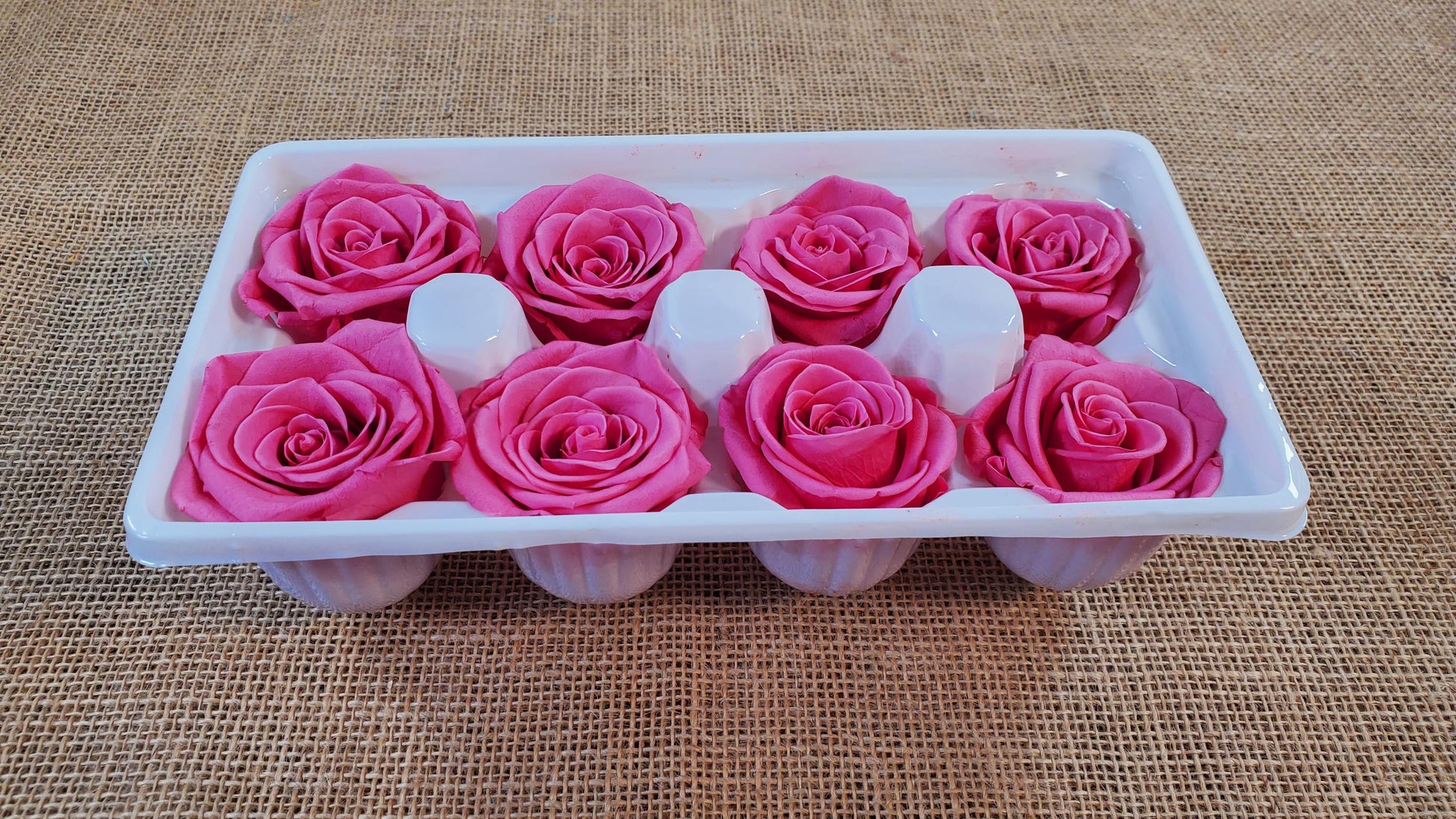 Pink Preserved Roses - 8 Pack - Wedding, Prom, Christmas