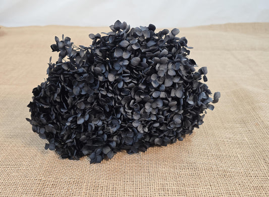 Black Preserved Hydrangea: Real Dried Wedding Flowers