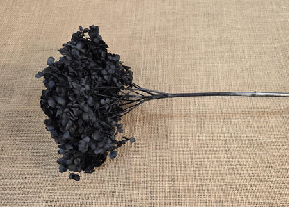 Black Preserved Hydrangea: Real Dried Wedding Flowers