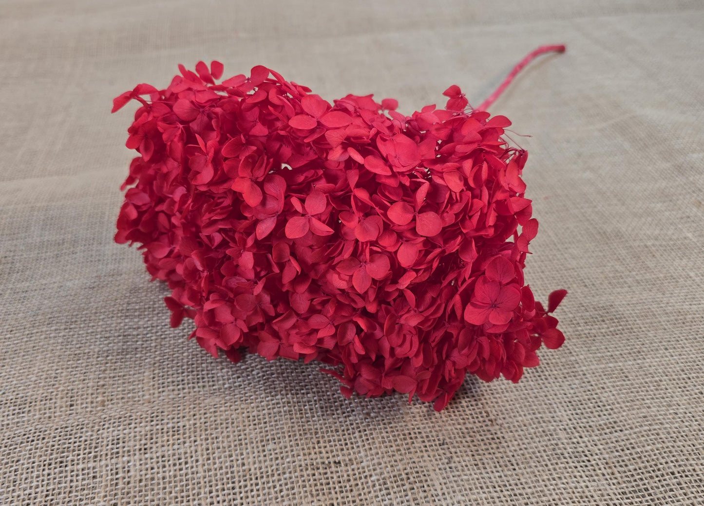 Bright red Preserved Hydrangea: Real Dried Wedding Flowers