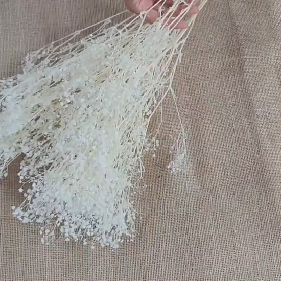 Preserved Baby's Breath: Natural Dried Gypsophilia, Blush Wedding Decor