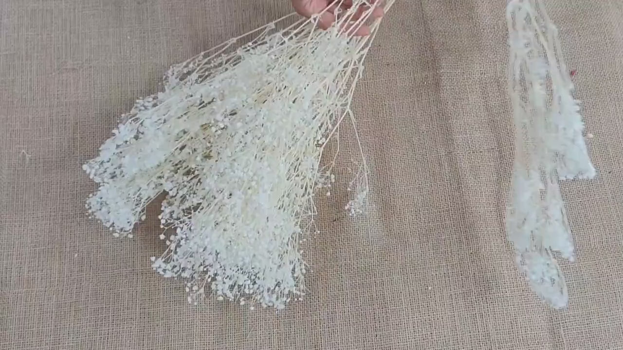 Preserved Baby's Breath: Natural Dried Gypsophilia, Blush Wedding Decor