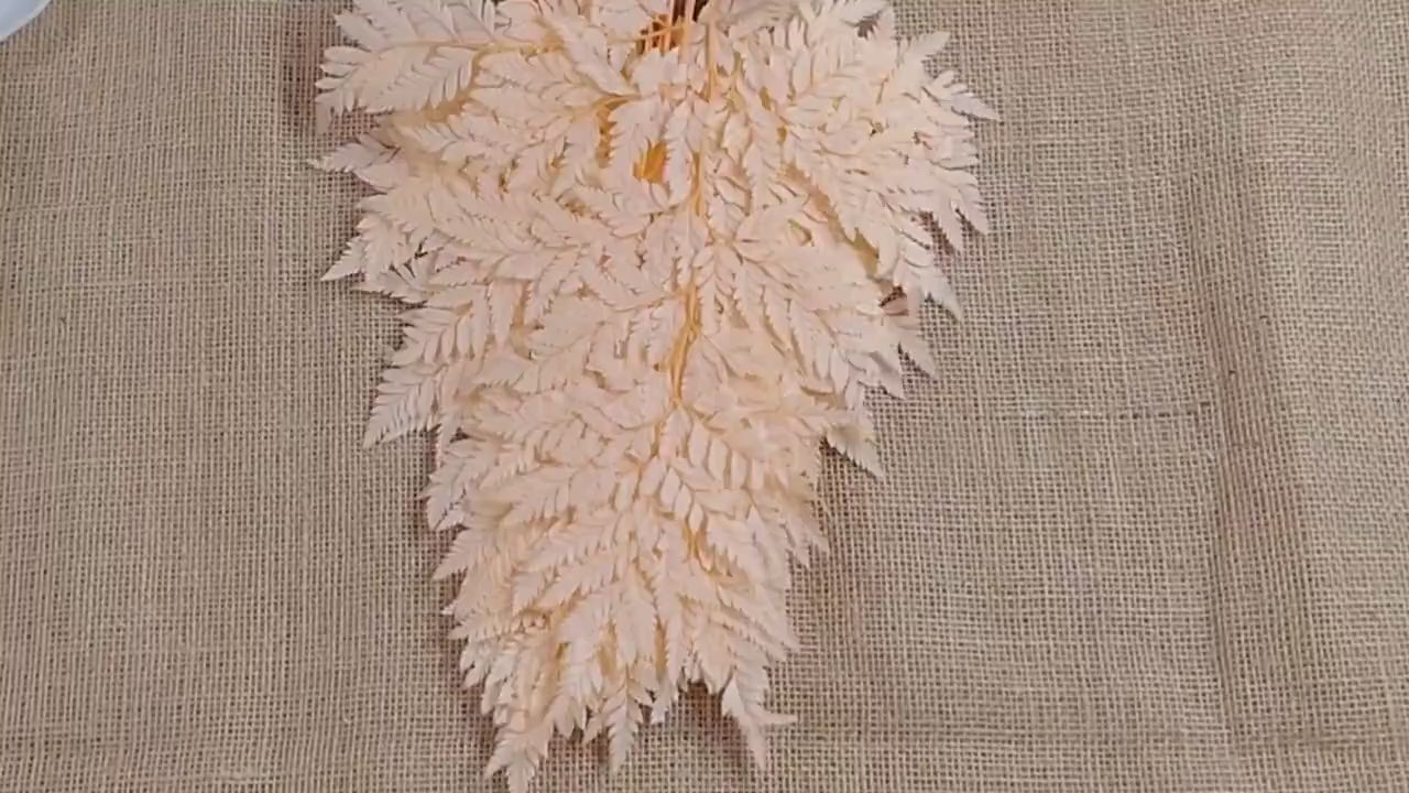 Champagne Preserved Fern: Wedding Bouquet Filler, Dried Flower Arrangement (19-20" Tall)
