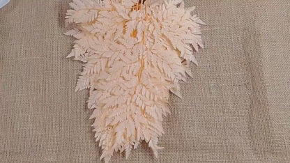 Champagne Preserved Fern: Wedding Bouquet Filler, Dried Flower Arrangement (19-20" Tall)