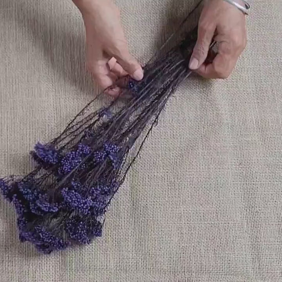 Purple Preserved Rice Flower: Dried Floral Arrangement Filler