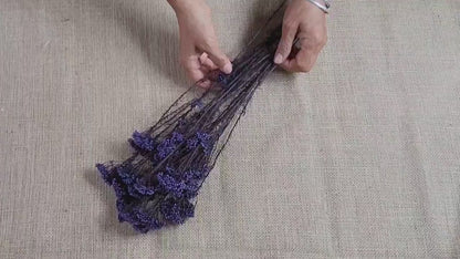 Purple Preserved Rice Flower: Dried Floral Arrangement Filler