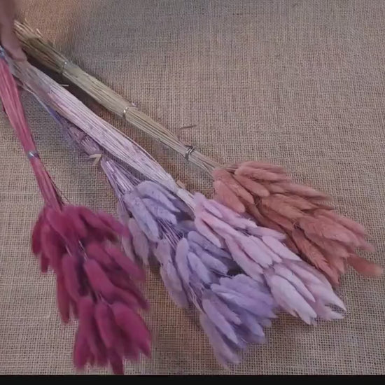 60 Dried Bunny Tail Grass Stems: Natural Boho Wedding Decor