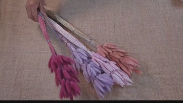 60 Dried Bunny Tail Grass Stems: Natural Boho Wedding Decor