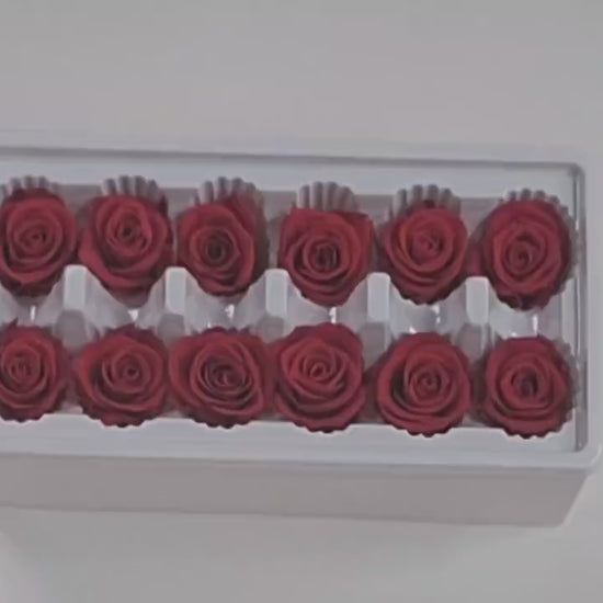 12 Red Preserved Roses: DIY Floral Arrangements & Wedding Decor