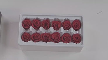 12 Red Preserved Roses: DIY Floral Arrangements & Wedding Decor