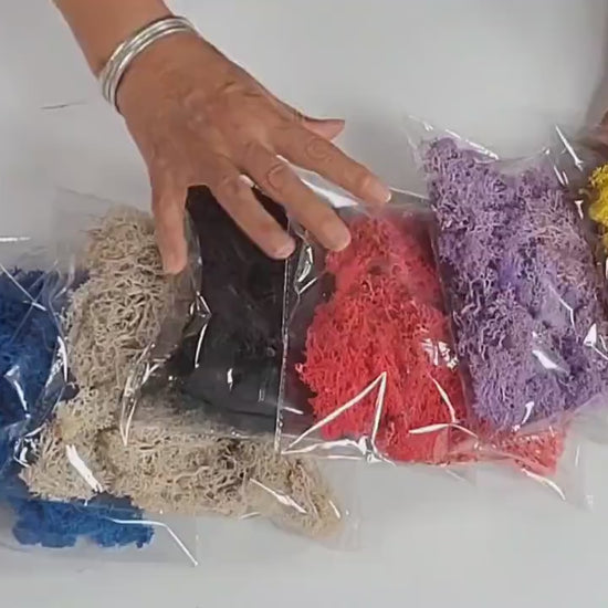 Preserved Reindeer Moss: 6 Color Terrarium Moss