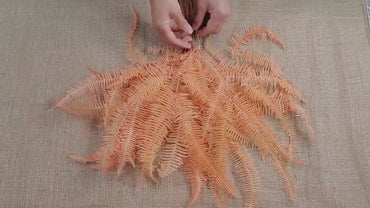 Orange Preserved Mountain Fern Leaf - Floral Arrangement, Home Decor (10 Pack)