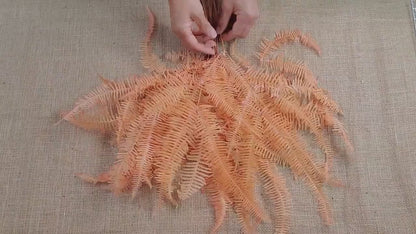 Orange Preserved Mountain Fern Leaf - Floral Arrangement, Home Decor (10 Pack)