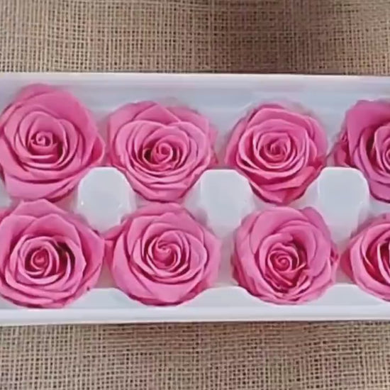 Pink Preserved Roses - 8 Pack - Wedding, Prom, Christmas