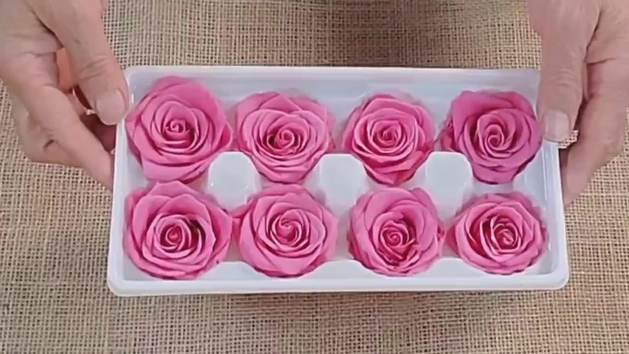 Pink Preserved Roses - 8 Pack - Wedding, Prom, Christmas