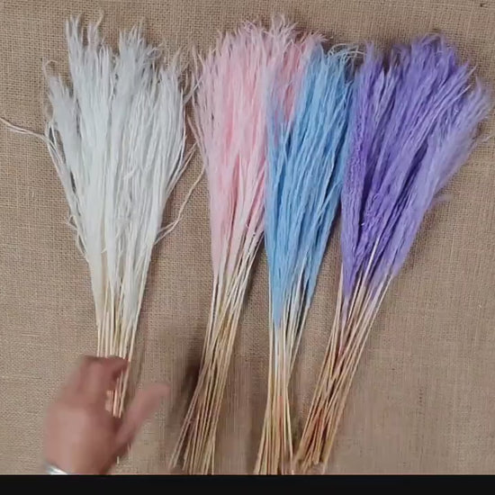 20" Pastel Pampas Grass Stems: Pink, Blue, Purple, White - Wedding Floral Decor