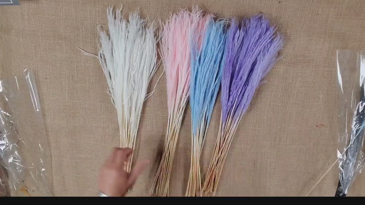 20" Pastel Pampas Grass Stems: Pink, Blue, Purple, White - Wedding Floral Decor