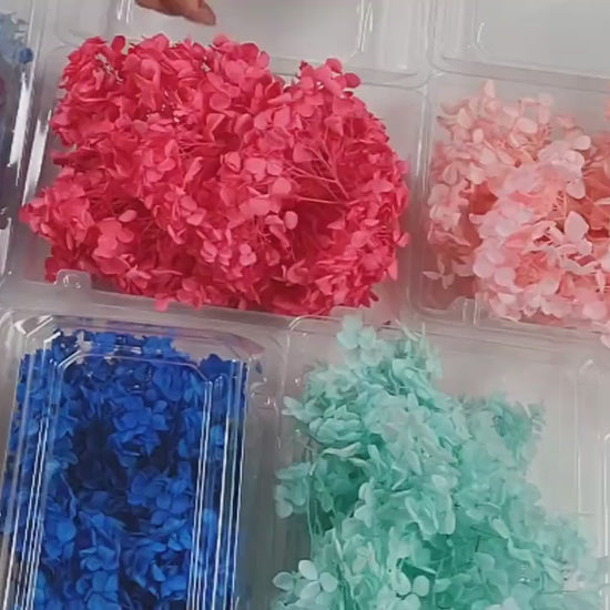 Preserved Hydrangeas: Colorful Dried Flowers, Wedding Home Decor