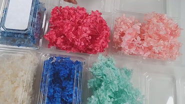 Preserved Hydrangeas: Colorful Dried Flowers, Wedding Home Decor