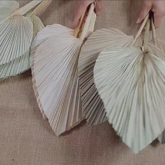 3 Pcs Natural Dried Palm Spears: Boho Wedding Decor